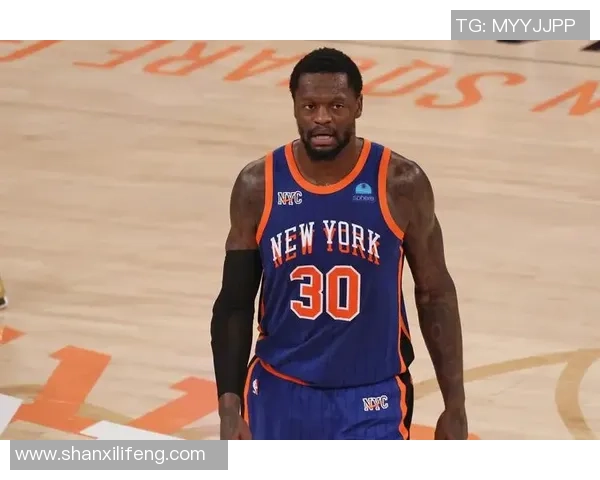 朱利叶斯兰德尔的篮球之路与未来展望:从新秀到全明星的蜕变之旅 朱利叶斯兰德尔的篮球之路与未来展望:从新秀到全明星的蜕变之旅